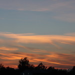 IMG_0440